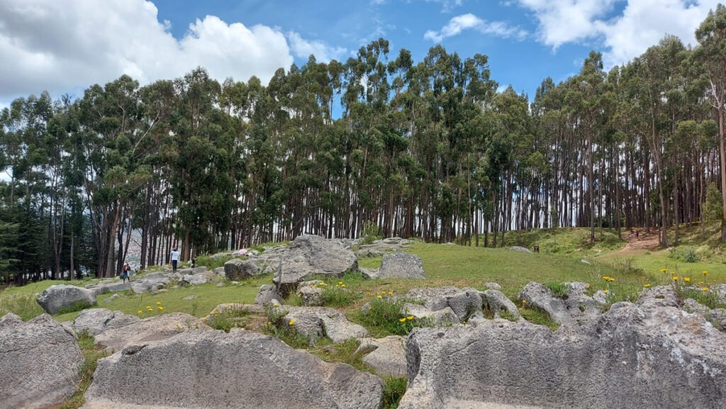 cuánto cuesta ir a Machu picchu